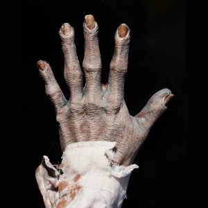 Zombie Prosthetic Hand Backs