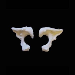 Witch Ears Unpainted FX Faces