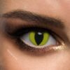 Yellow Cat Lense