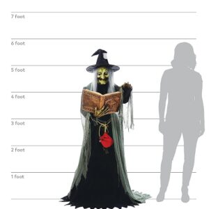 Spell Speaking Witch Animated Prop Sizes