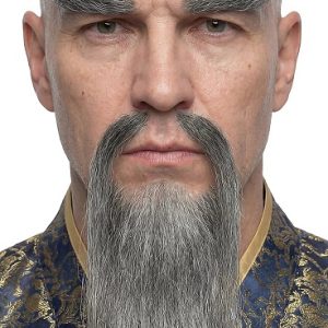 Confucious Beard Set Grey Model Close