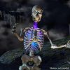 12ft Skeleton Light Up Chest kit