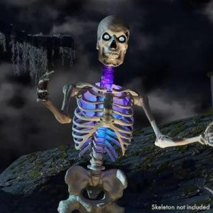 12ft Skeleton Light Up Chest kit
