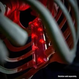 12ft Skeleton Light Up Kit 4