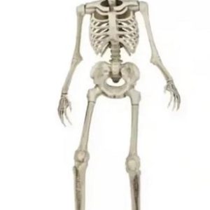 3FT Skeleton LED Animated Prop