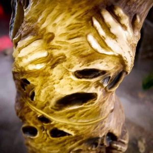 Twisted Souls Archway Haloween Decoration Close View